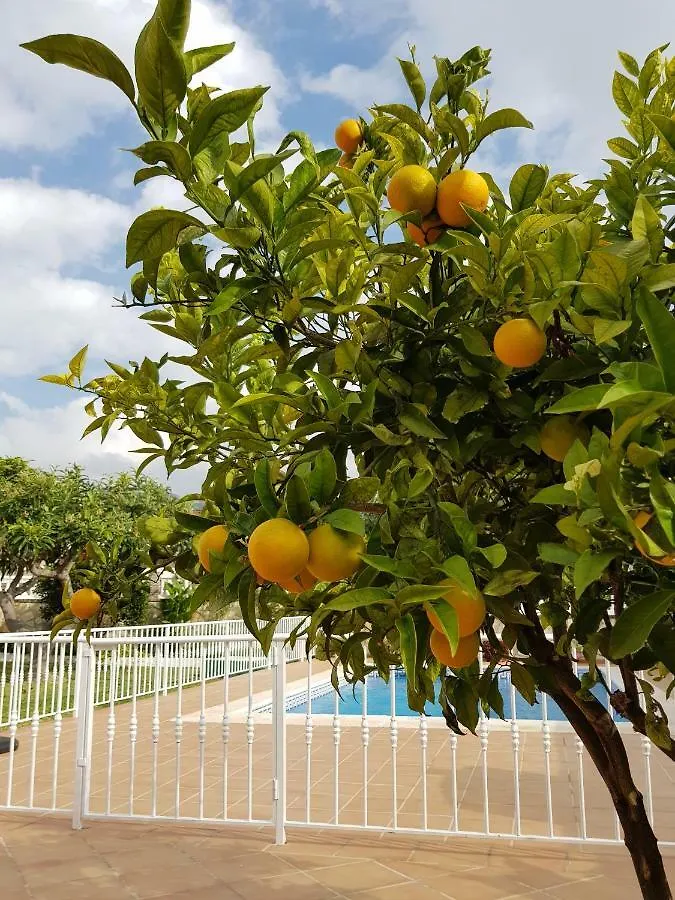 Villa Jorge Spainsunrentals 1022 Nerja